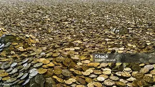 深圳打工仔的还款逆袭：从月光到房奴，再到财富自由！ poster