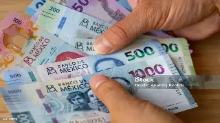 踩坑记：我的深圳市贷款血泪史，新手必看的血淋淋教训！